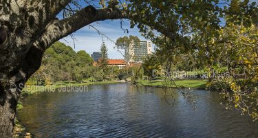 Torrens River and parklands in the South Australian capital city of Adelaide.