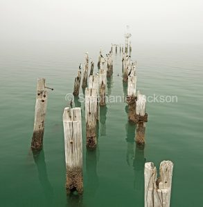 Old posts at the end of a jetty provide seabirds with places to rest. n sea of turquoise with mist obscuring horizon