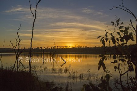 Sunrise over the lake at Paradise dam, Queensland